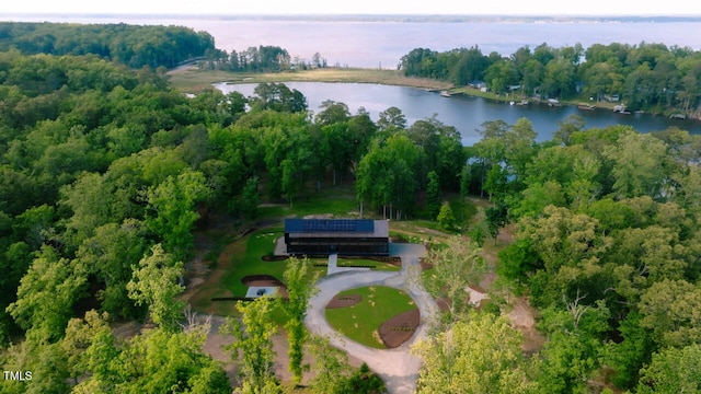 4725 Creeks Junction Rd, Blounts Creek, NC 27814 - view of property location featuring a nearby body of water and a heavily wooded area