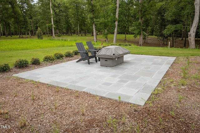 4725 Creeks Junction Rd, Blounts Creek, NC 27814 - view of patio with a forest view and grilling area