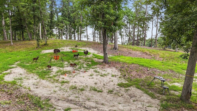 4725 Creeks Junction Rd, Blounts Creek, NC 27814 - view of yard