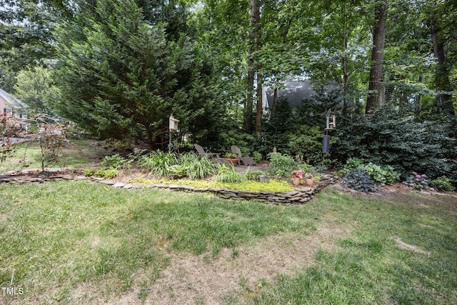 105 Gorge Ct, Cary, NC 27518 - view of grassy yard