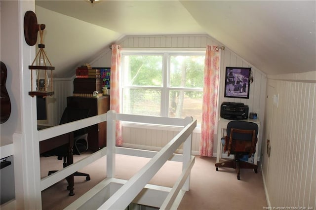 4903 Lemon Springs Rd, Sanford, NC 27332 - home office featuring lofted ceiling and carpet floors