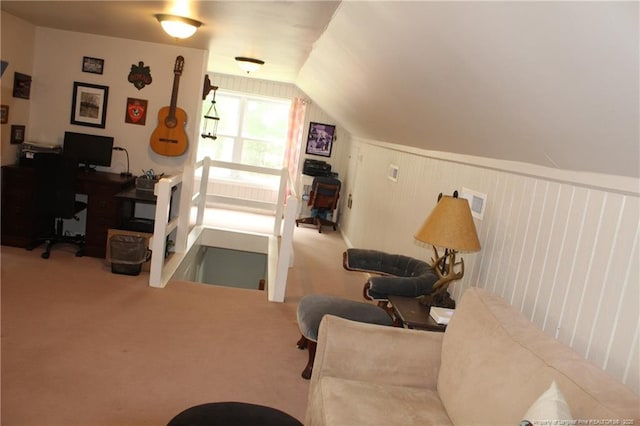 4903 Lemon Springs Rd, Sanford, NC 27332 - carpeted office with vaulted ceiling