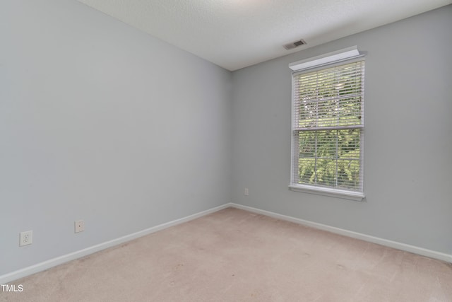 3010 Winston Dr Unit 81, Burlington, NC 27215 - empty room featuring plenty of natural light, light colored carpet, and a textured ceiling