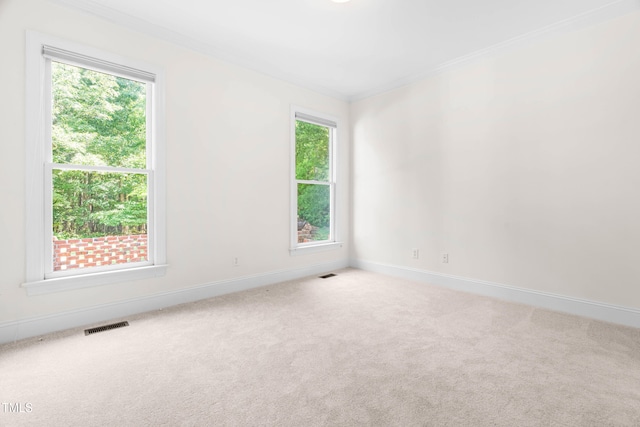 619 Baybush Dr, Raleigh, NC 27615 - carpeted empty room with ornamental molding and plenty of natural light