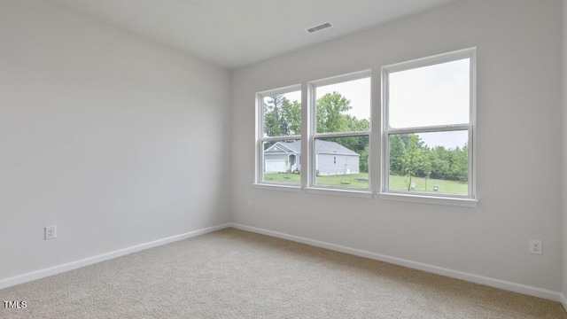 190 Babbling Creek Dr, Youngsville, NC 27596 - unfurnished room with light colored carpet and baseboards