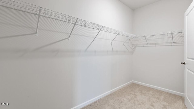 190 Babbling Creek Dr, Youngsville, NC 27596 - spacious closet featuring carpet floors