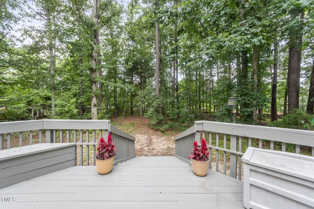 107 E Seve Ct, Morrisville, NC 27560 - photo 15