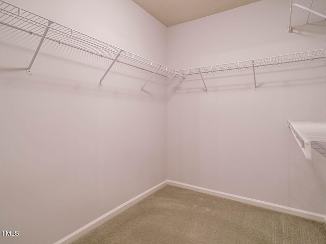 101 Lake Tillery Dr, Cary, NC 27519 - spacious closet featuring carpet floors