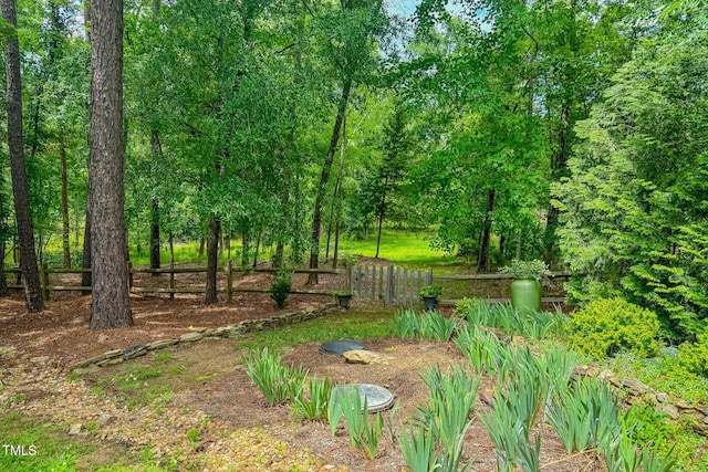 734 Crystal Forest Dr, Semora, NC 27343 - view of yard