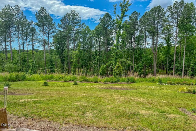 734 Crystal Forest Dr, Semora, NC 27343 - view of green lawn featuring a wooded view
