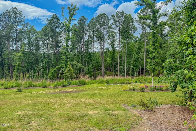 734 Crystal Forest Dr, Semora, NC 27343 - view of grassy yard