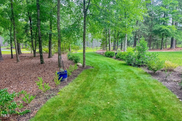 734 Crystal Forest Dr, Semora, NC 27343 - view of green lawn