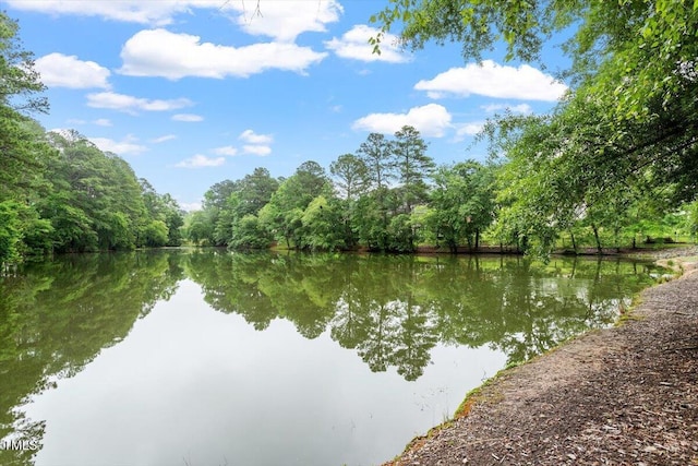1990 Ferbow St, Creedmoor, NC 27522 - water view featuring a heavily wooded area