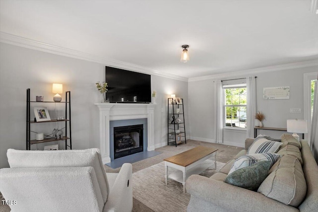 1990 Ferbow St, Creedmoor, NC 27522 - living room with ornamental molding and a fireplace