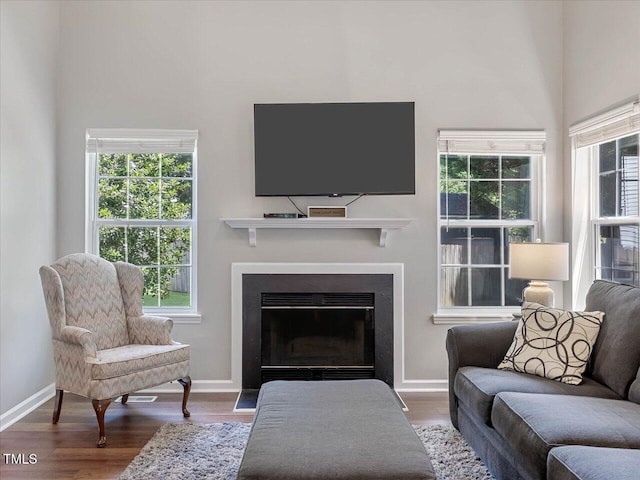 221 Antique Lace Way, Holly Springs, NC 27540 - living room featuring wood finished floors, a fireplace with flush hearth, and a towering ceiling