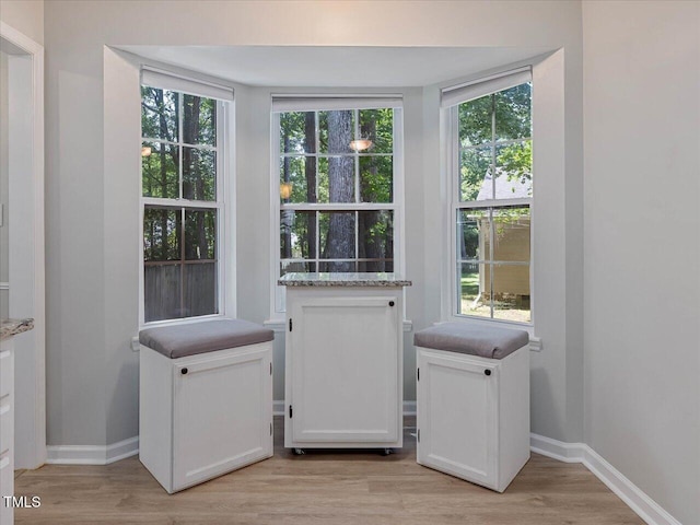 221 Antique Lace Way, Holly Springs, NC 27540 - doorway to outside with light wood-style floors