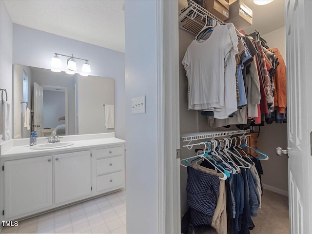 221 Antique Lace Way, Holly Springs, NC 27540 - walk in closet with a sink