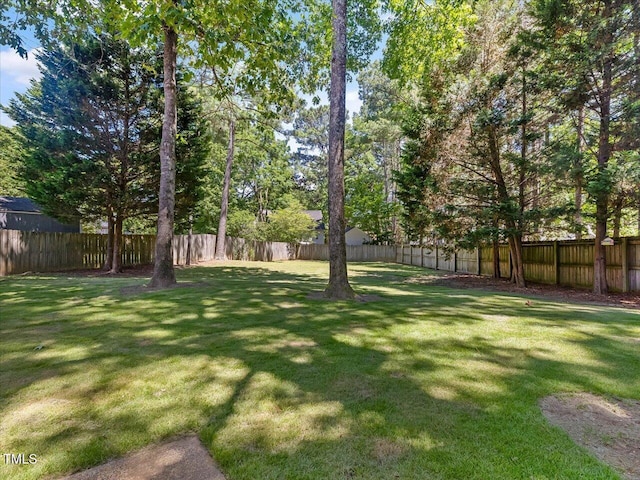 221 Antique Lace Way, Holly Springs, NC 27540 - view of fenced backyard