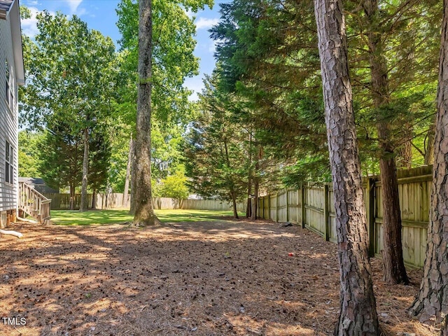 221 Antique Lace Way, Holly Springs, NC 27540 - view of fenced backyard