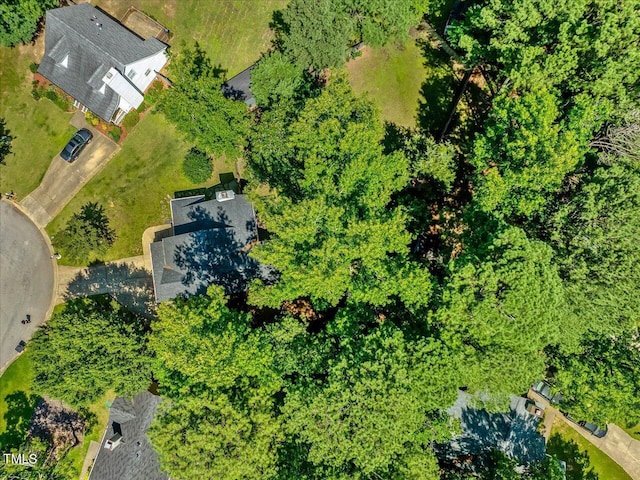 221 Antique Lace Way, Holly Springs, NC 27540 - drone / aerial view