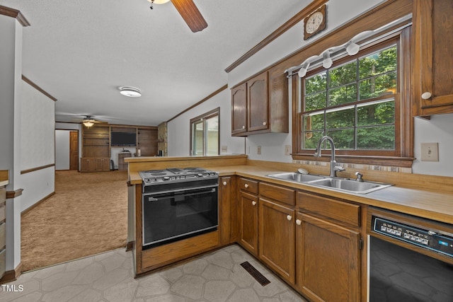 2382 Council Rd, Graham, NC 27253 - kitchen with range, ceiling fan, black dishwasher, light colored carpet, and open floor plan