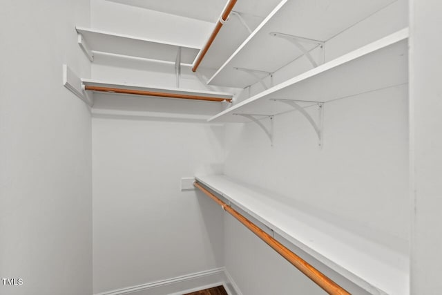 3 White Ash Dr, Durham, NC 27712 - view of walk in closet