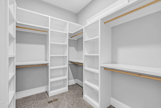 5504 Earle Rd, Raleigh, NC 27606 - spacious closet featuring carpet floors