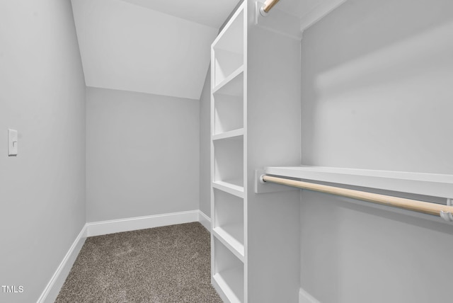 5504 Earle Rd, Raleigh, NC 27606 - walk in closet with carpet flooring