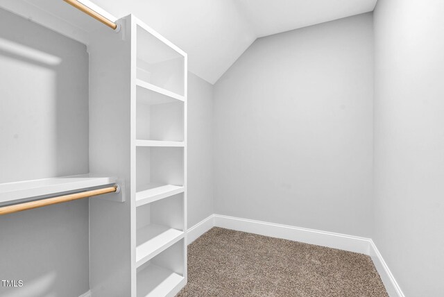 5504 Earle Rd, Raleigh, NC 27606 - walk in closet featuring carpet floors and vaulted ceiling