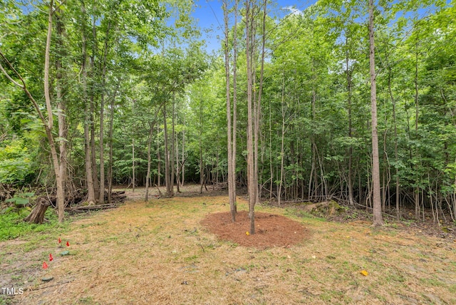 5504 Earle Rd, Raleigh, NC 27606 - view of yard featuring a wooded view