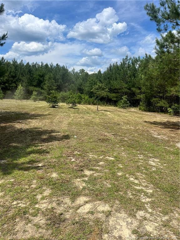 Lee Rd, Gibson, NC 28343