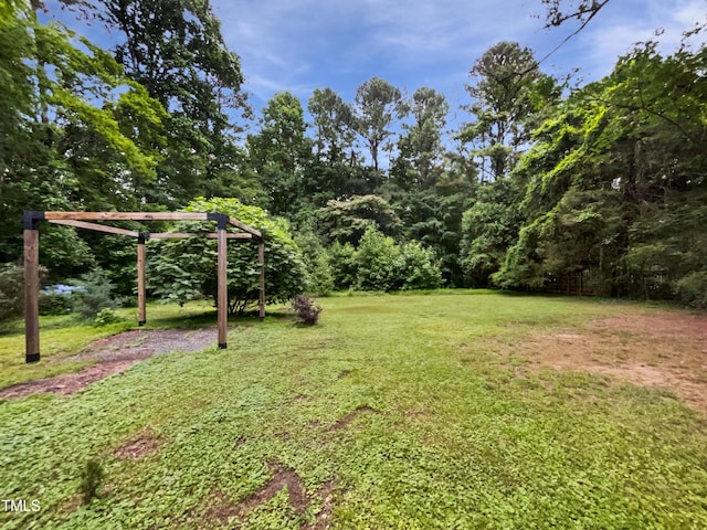 1311 Meadow Ln, Chapel Hill, NC 27516 - view of green lawn