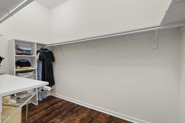 1406 Pebble Creek Xing, Durham, NC 27713 - walk in closet with dark wood-style floors