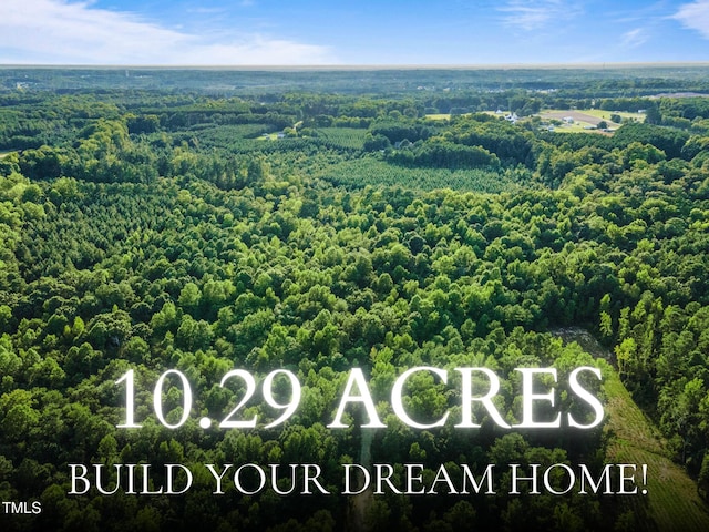 295 Old Eason Rd, Zebulon, NC 27597
