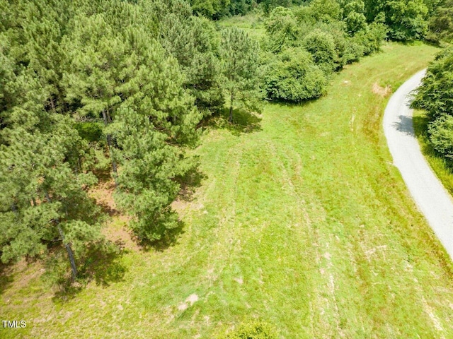 588 Rufus C Burnette Dr, Pittsboro, NC 27312 - photo 8