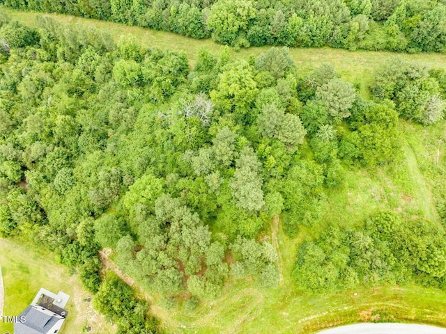 588 Rufus C Burnette Dr, Pittsboro, NC 27312 - photo 10