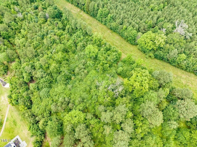 588 Rufus C Burnette Dr, Pittsboro, NC 27312 - photo 11