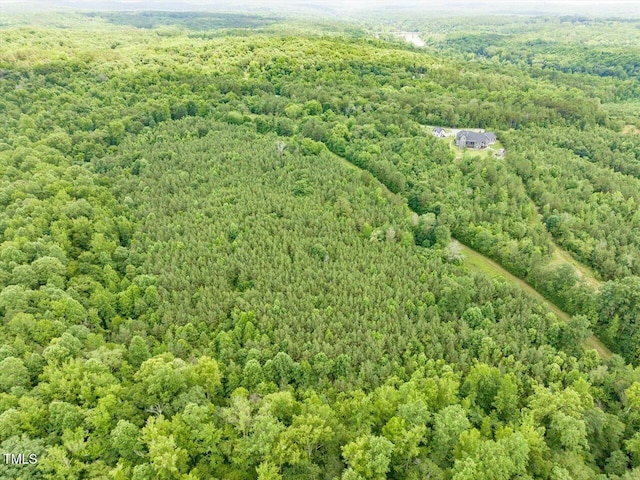 588 Rufus C Burnette Dr, Pittsboro, NC 27312 - photo 22