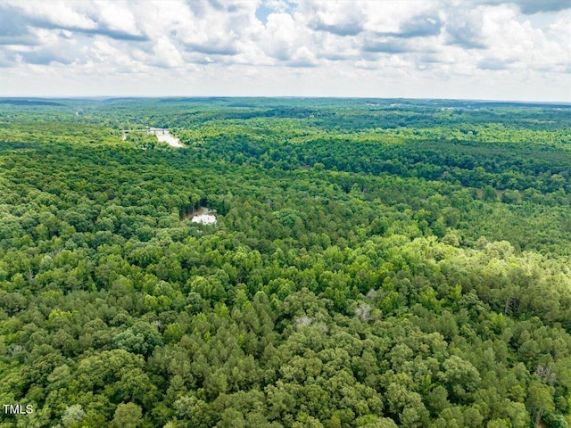 588 Rufus C Burnette Dr, Pittsboro, NC 27312 - photo 23