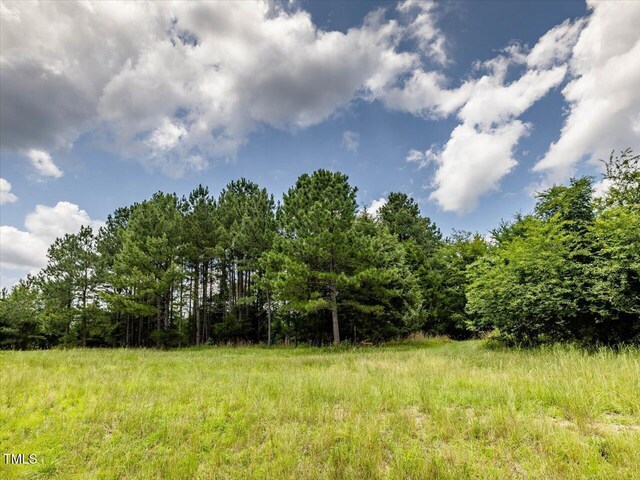 588 Rufus C Burnette Dr, Pittsboro, NC 27312 - photo 3
