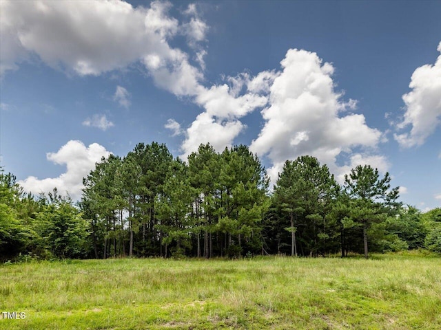 588 Rufus C Burnette Dr, Pittsboro, NC 27312 - photo 4