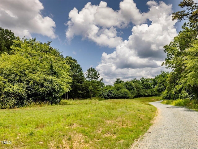 588 Rufus C Burnette Dr, Pittsboro, NC 27312 - photo 25