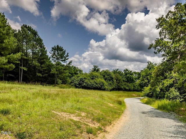 588 Rufus C Burnette Dr, Pittsboro, NC 27312 - photo 26