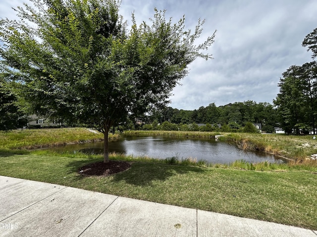 656 Barneswyck Dr, Fuquay Varina, NC 27526 - water view