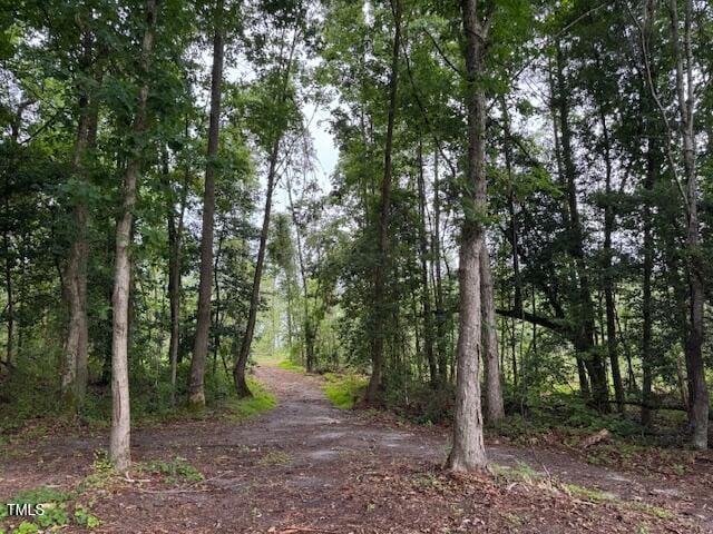 0 Beasley Rd, Benson, NC 27504