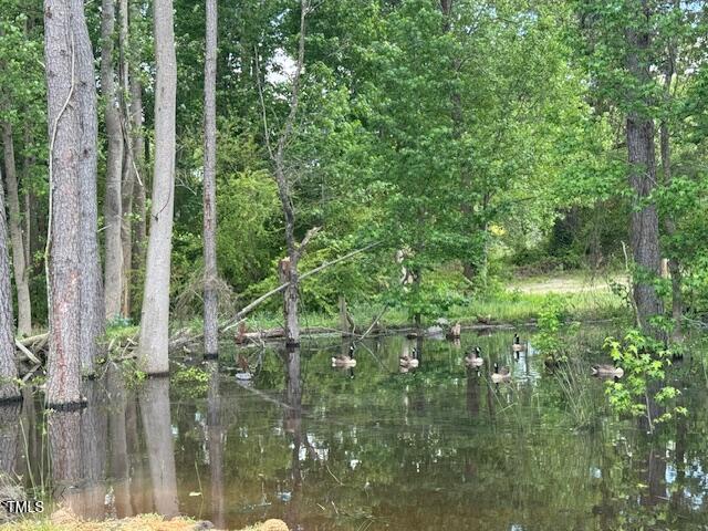 0 Beasley Rd, Benson, NC 27504 - photo 25