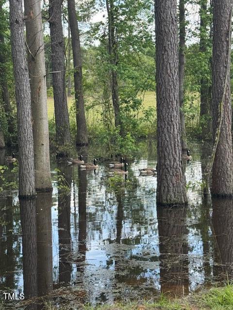 0 Beasley Rd, Benson, NC 27504 - photo 24