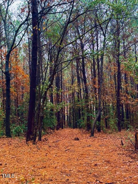 0 Beasley Rd, Benson, NC 27504 - photo 33