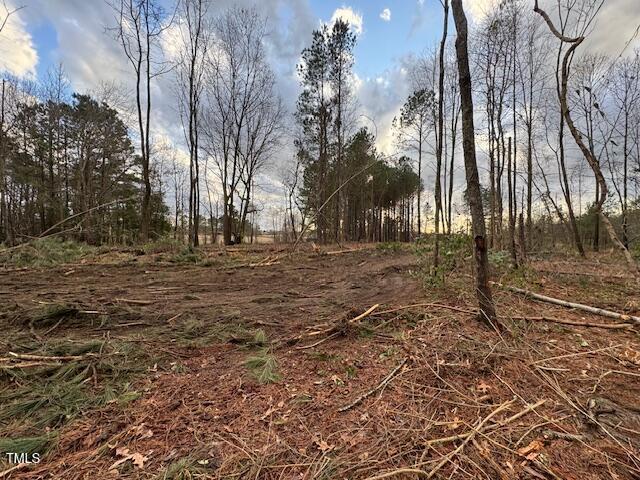 0 Beasley Rd, Benson, NC 27504 - photo 35