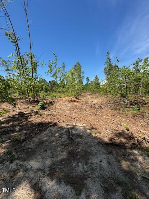0 Beasley Rd, Benson, NC 27504 - photo 32